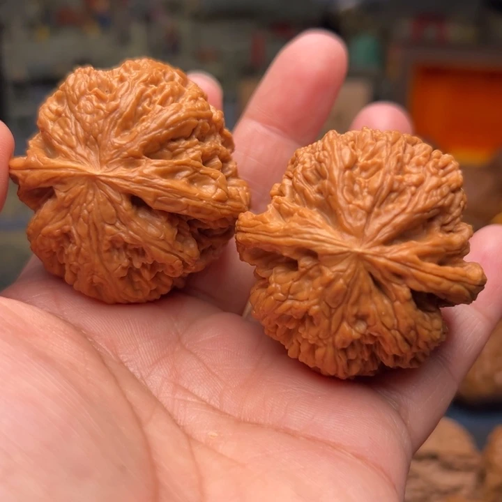 核桃44大粗筋大粗筋