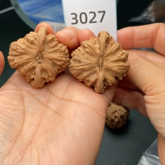 文玩核桃把件W****e41瑕疵白狮子3027