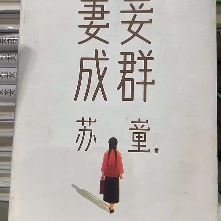 妻妾成群新书推荐