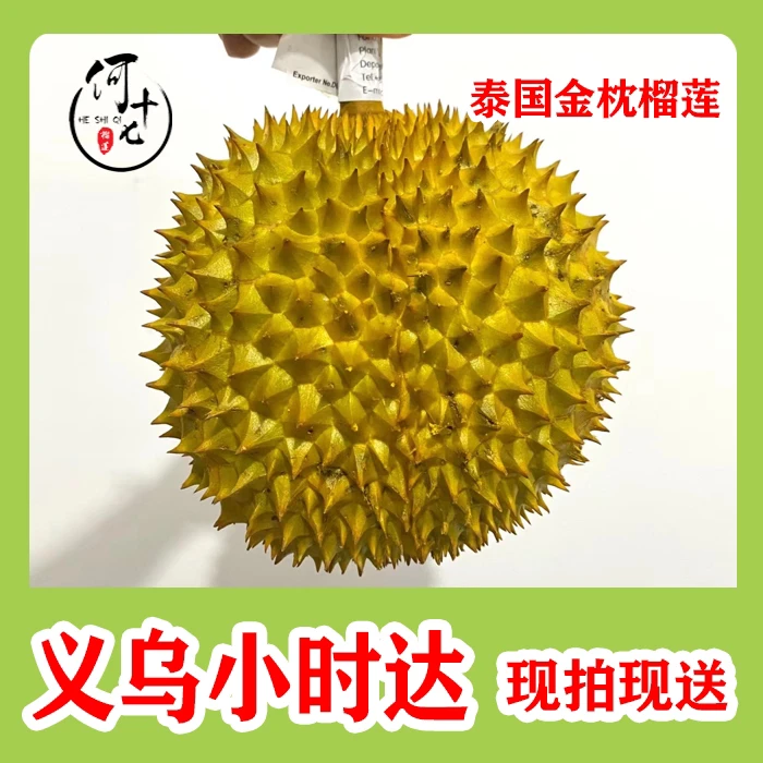 特价3.5斤金枕肉肉核小新鲜金枕泰国