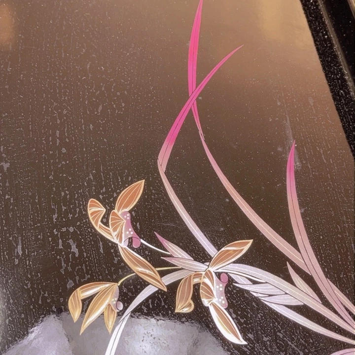 瓷片我**多大美玲好物推荐