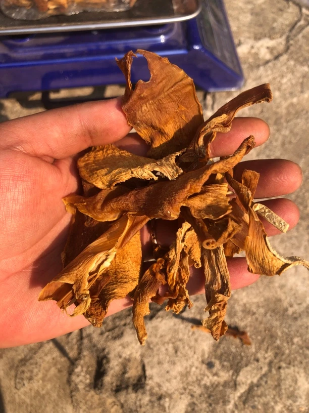 云南野山货【竹笋干】农家自制竹笋干自然晾晒