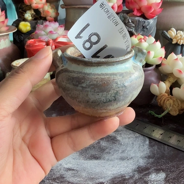 重庆小燕子欢迎大家181