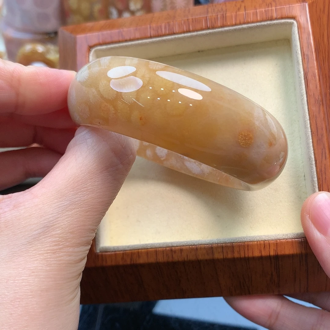 未镶嵌手镯硅化珊瑚（珊瑚玉）53口270