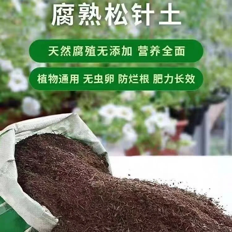 天然腐熟无添加松针土植物通用透气透水养根松润肥沃天然松针土