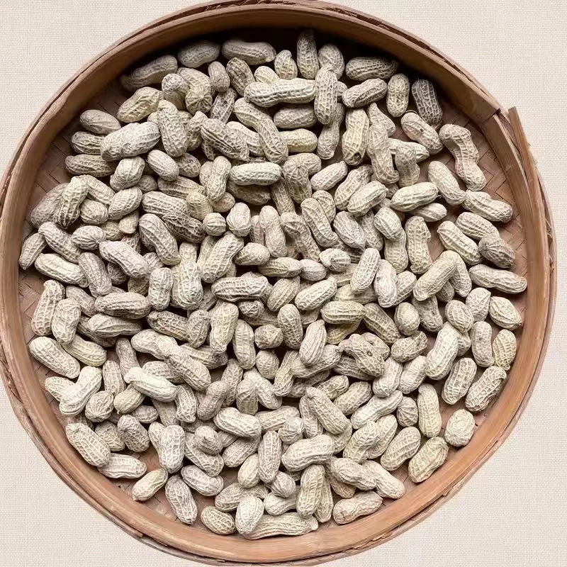 D农家熟花生白皮。红泥花生