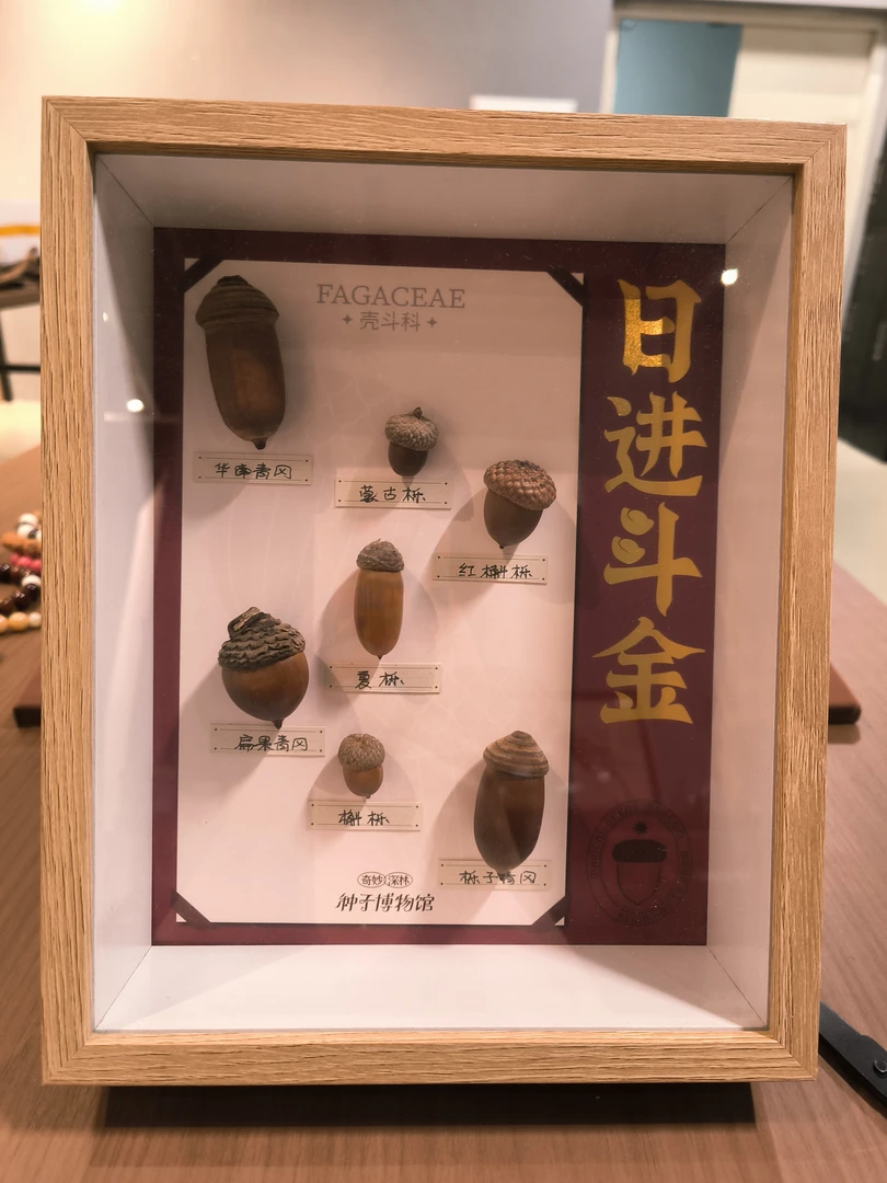 日进斗金种子相框138
