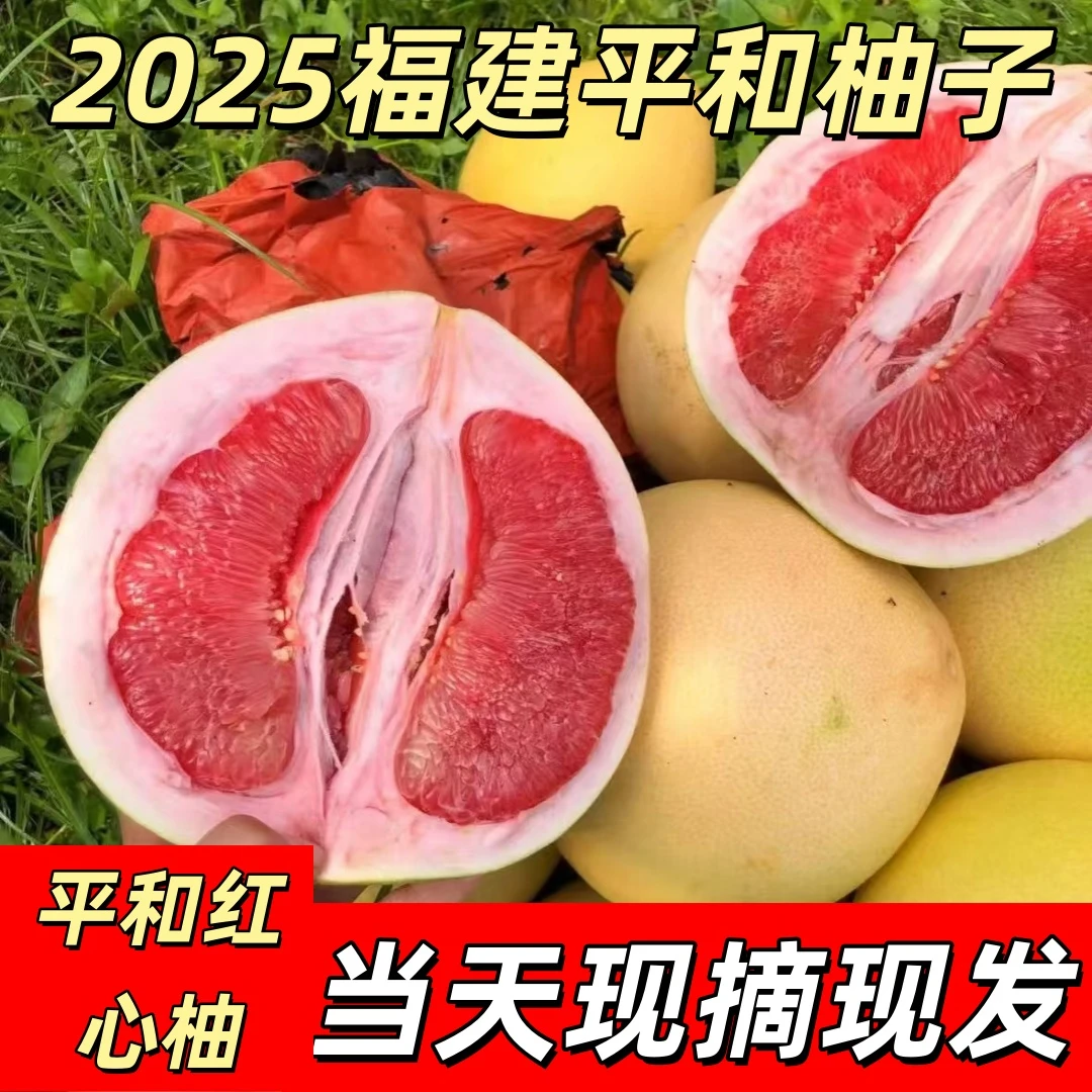 福建平和红心密柚当季新果清甜多汁