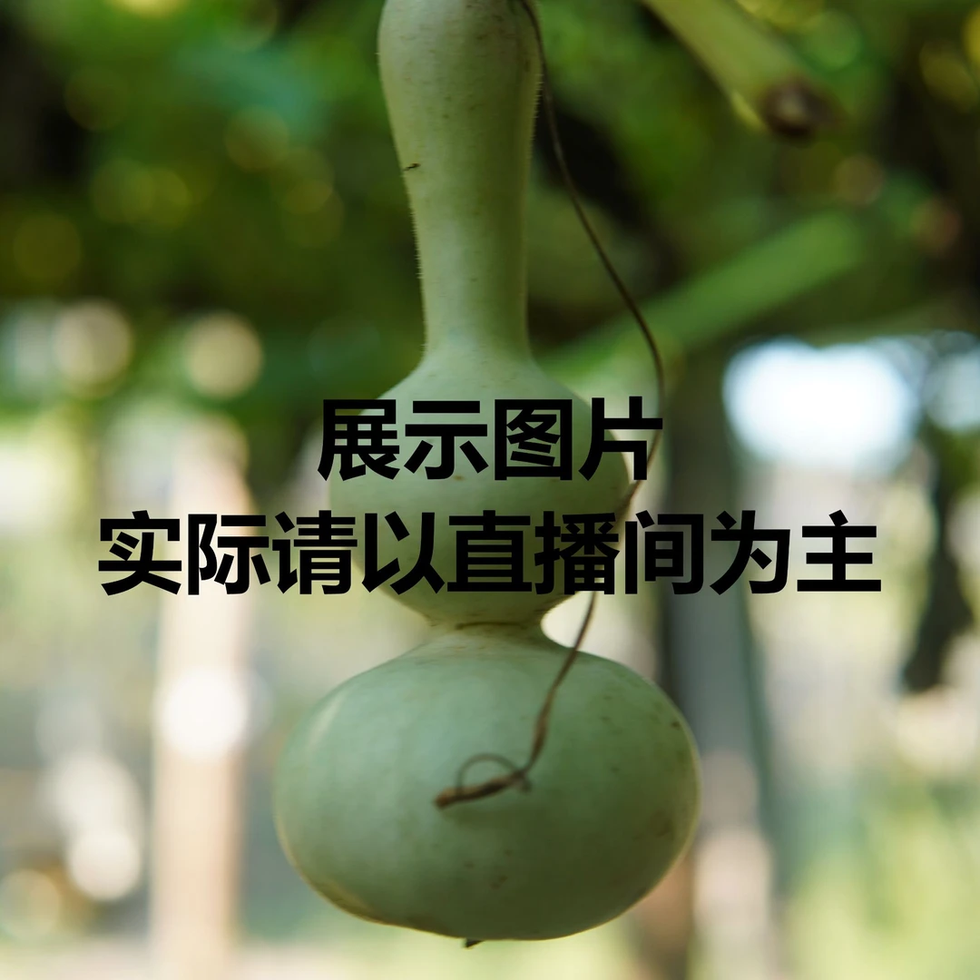 精品葫芦粗嘴八宝青皮