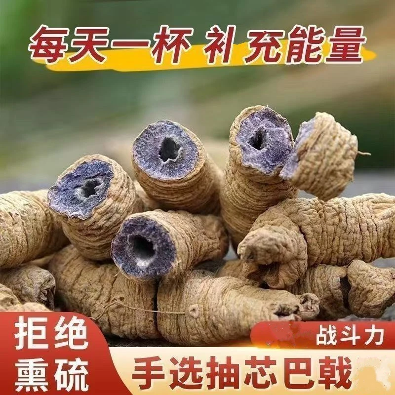 巴戟深山泡茶泡酒福建特产泡酒煲汤养生新鲜滋补营养