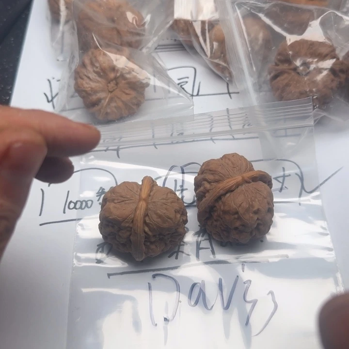 D***.文玩核桃吊坠啦啦啦啦