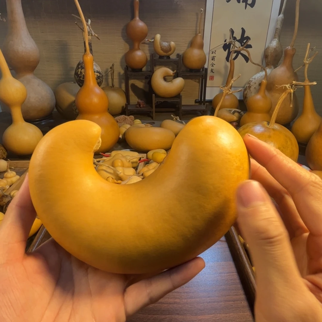 厚皮弯弯大腰子一把