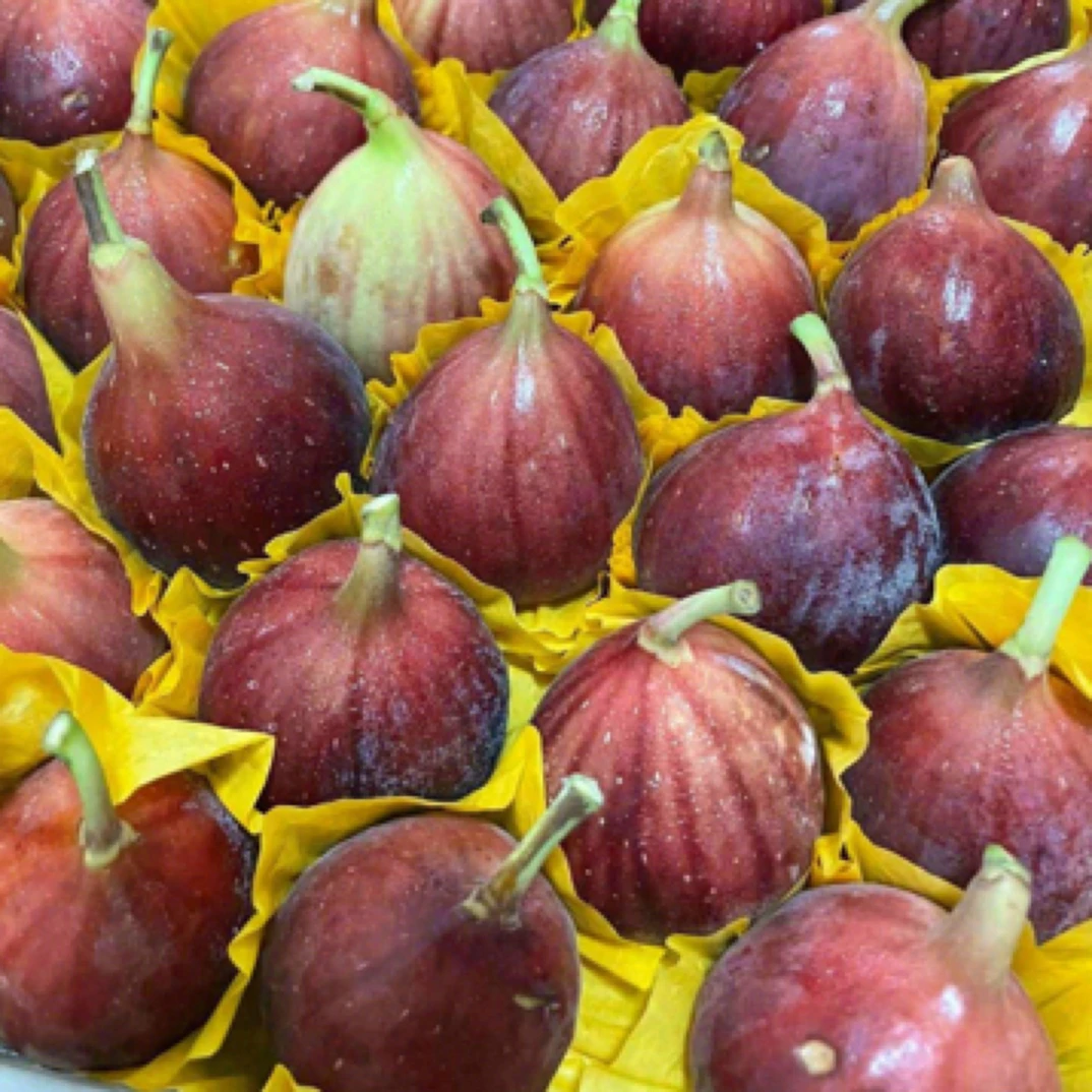 无花果是生活的甜蜜源泉，长在树上的“糖包子”咬一口，绵软香甜