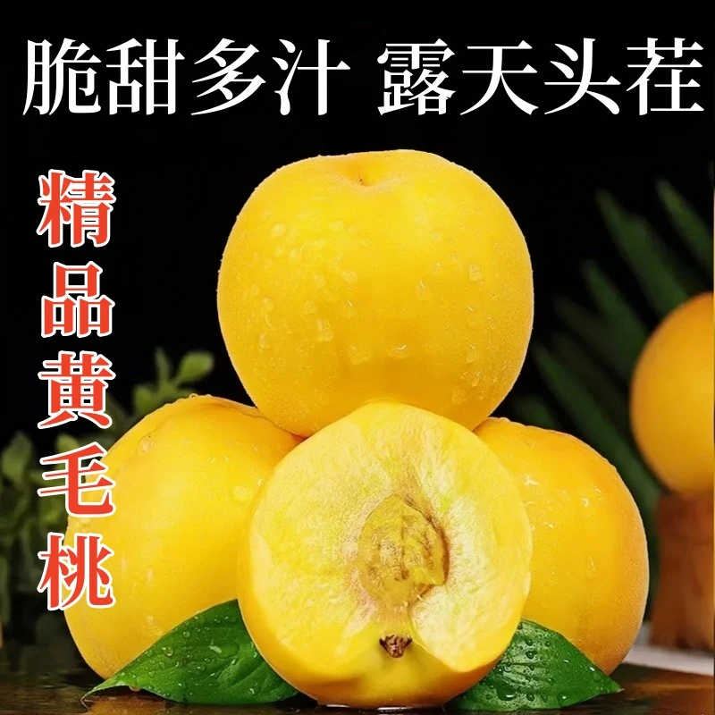 【蒙阴蜜桃】蒙阴黄金毛桃脆爽爆汁应季新鲜水果水蜜桃现摘现发