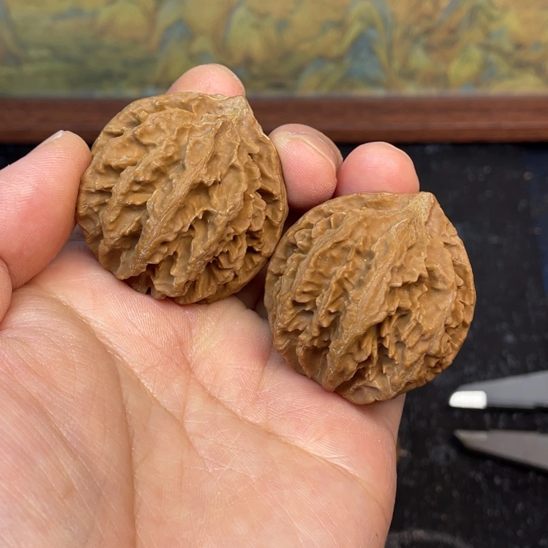 核桃5号链接55555