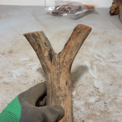 大果紫檀（缅甸花梨）?****?