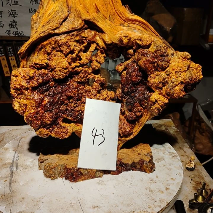 松木43号北沉香琥珀木天然造型