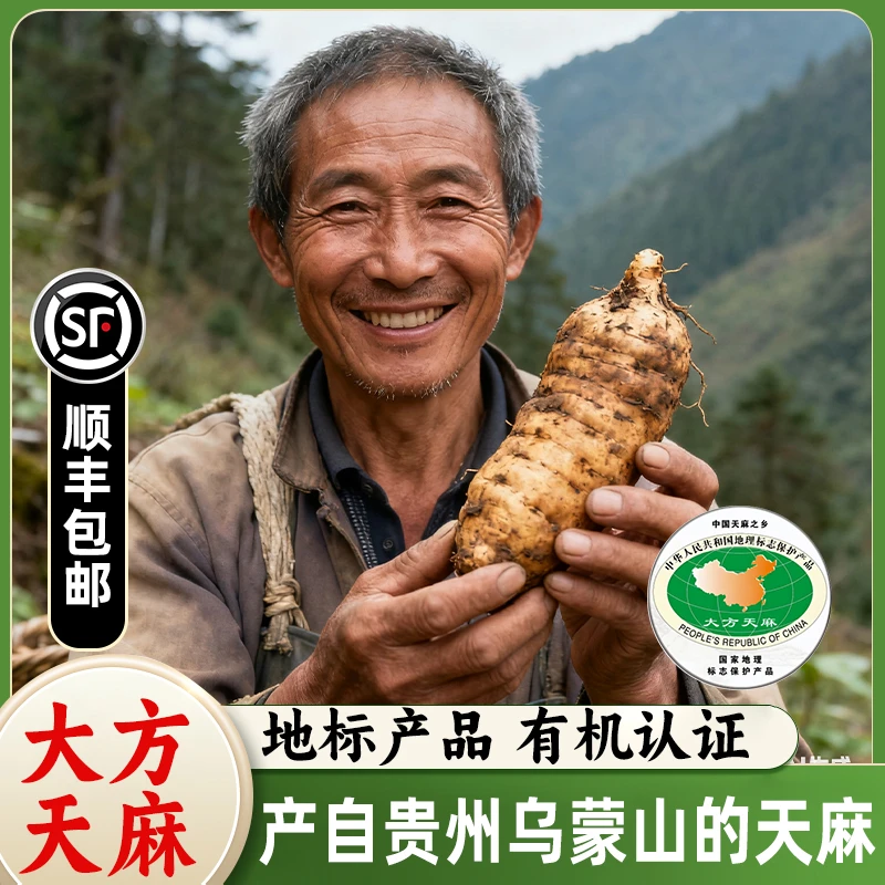 【顺丰直发】贵州大方新鲜林下仿野生现挖现发非天麻正宗野天麻