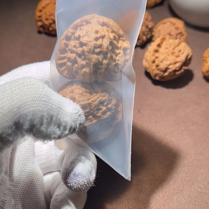 追***星精品白狮子三角白