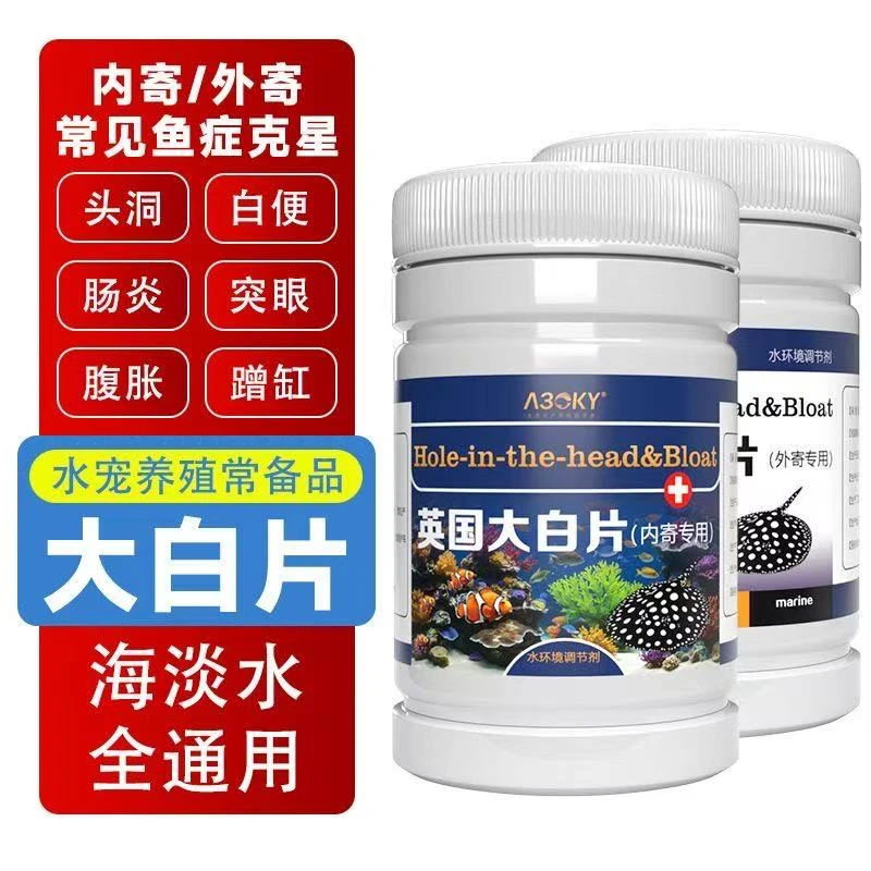 英国大白片观赏鱼常备龙鱼食人鱼罗汉鱼内寄头洞外寄白点常用产品