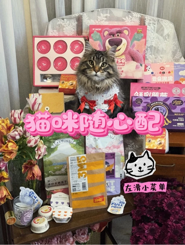 猫咪仓储随心配，想咋搭配咋搭配