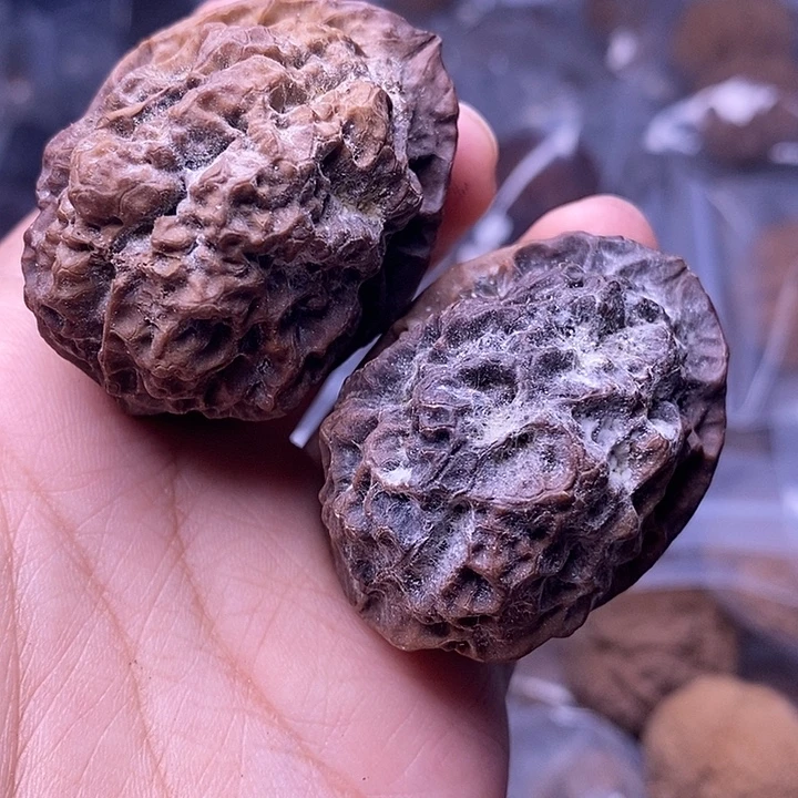 把件文玩核桃   51