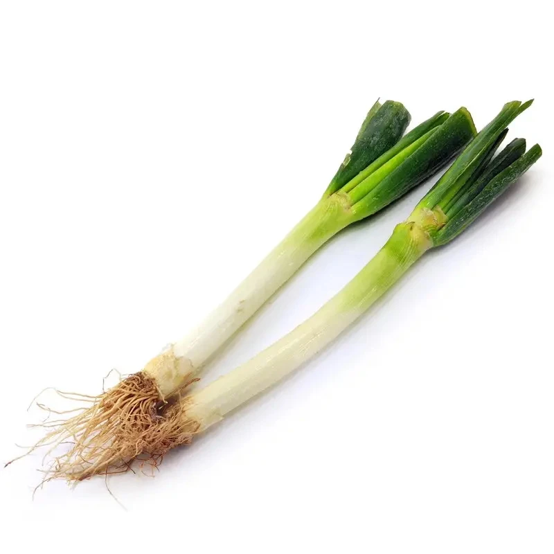 大葱约400克/份葱