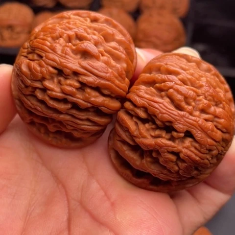 文玩核桃把件秦岭山脉核桃