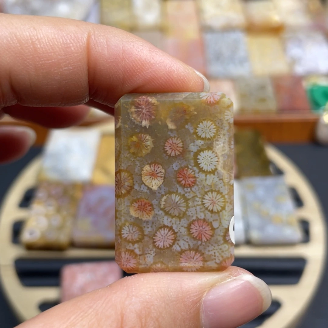 硅化玉未镶嵌颈饰k27