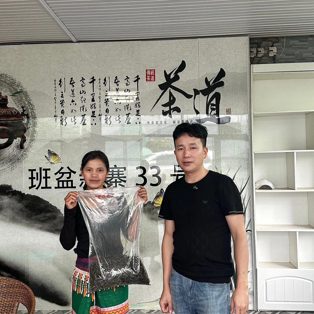 2025年班盆新寨33号古树单株 普洱茶（生茶）散茶