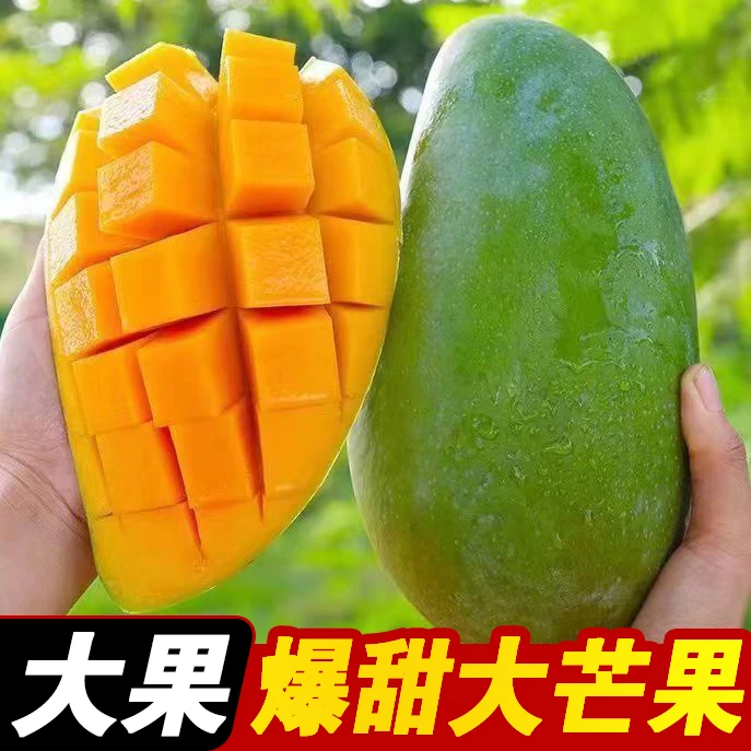 正宗金煌芒果大青芒新鲜水果水仙芒青芒薄皮甜心芒整箱奶茶小台芒