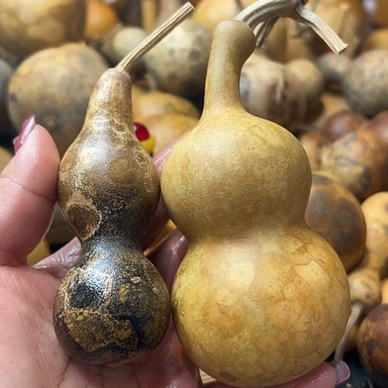 尼*丁葫芦葫芦葫芦葫芦