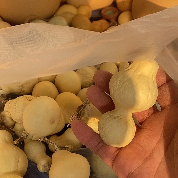 初***发抽葫芦手把件葫芦葫芦