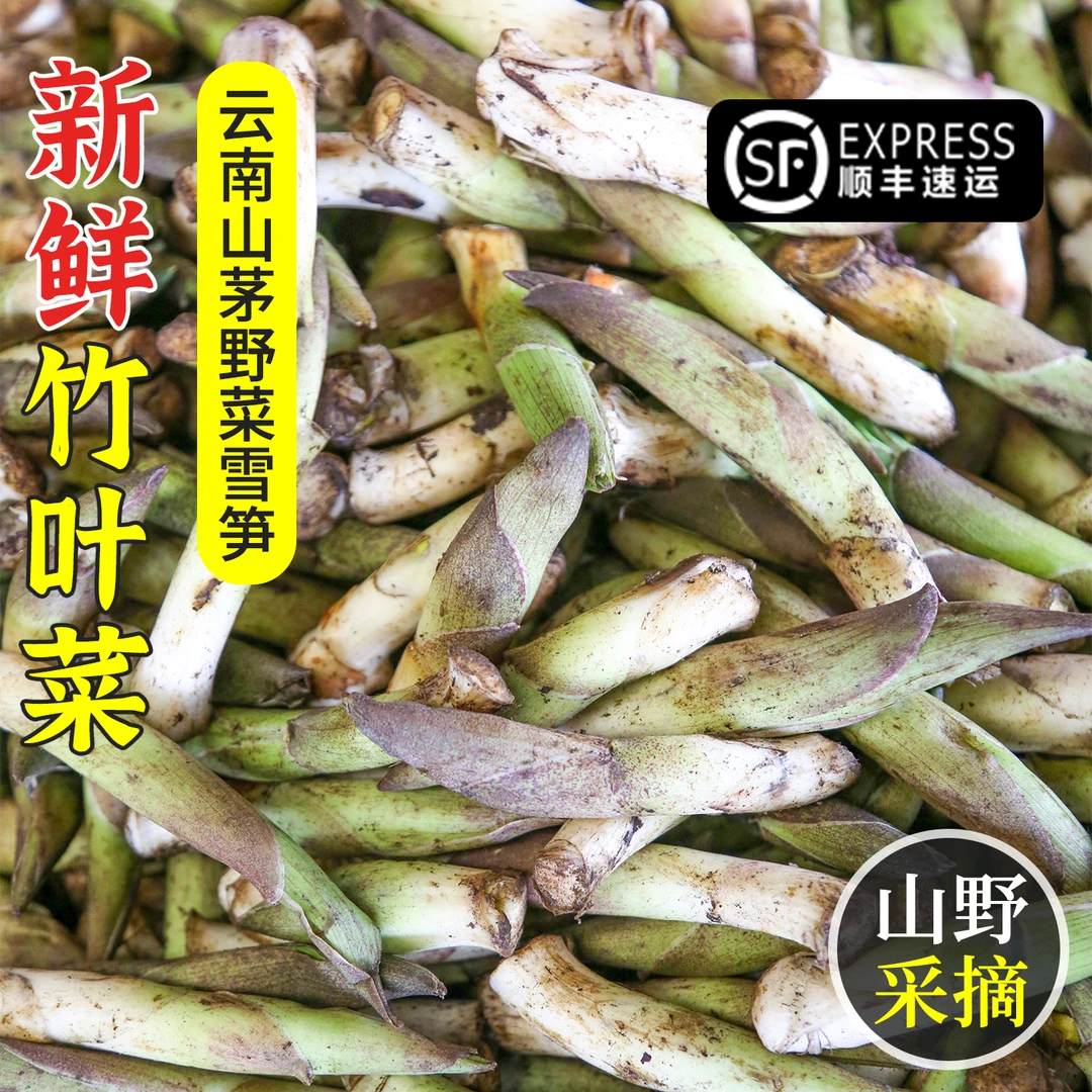 云南雪笋竹叶菜新鲜时令蔬菜嫩脆美味