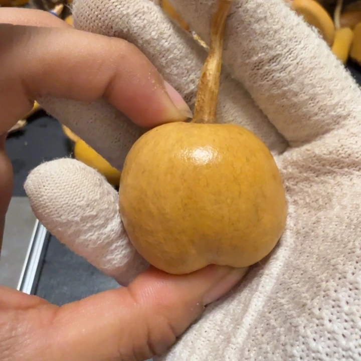 冰***饼风烈色差6766666666