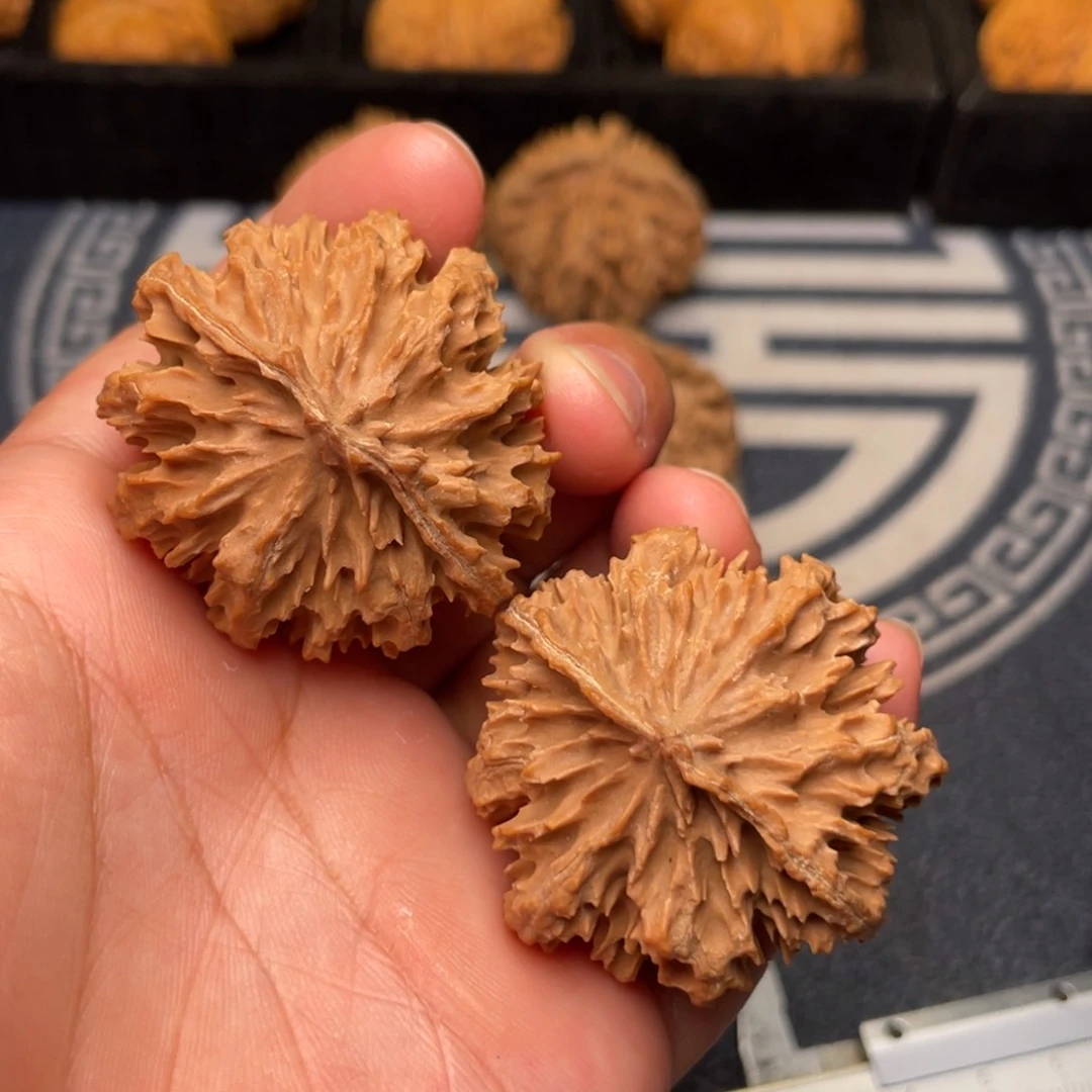 文玩核桃把件秦岭核桃49