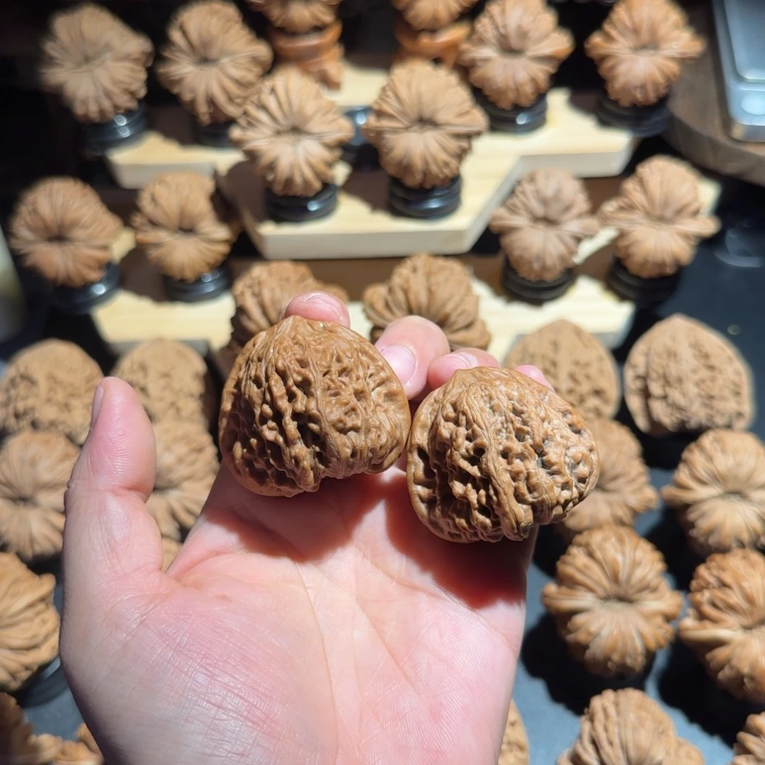 核桃41全品白茬凹底