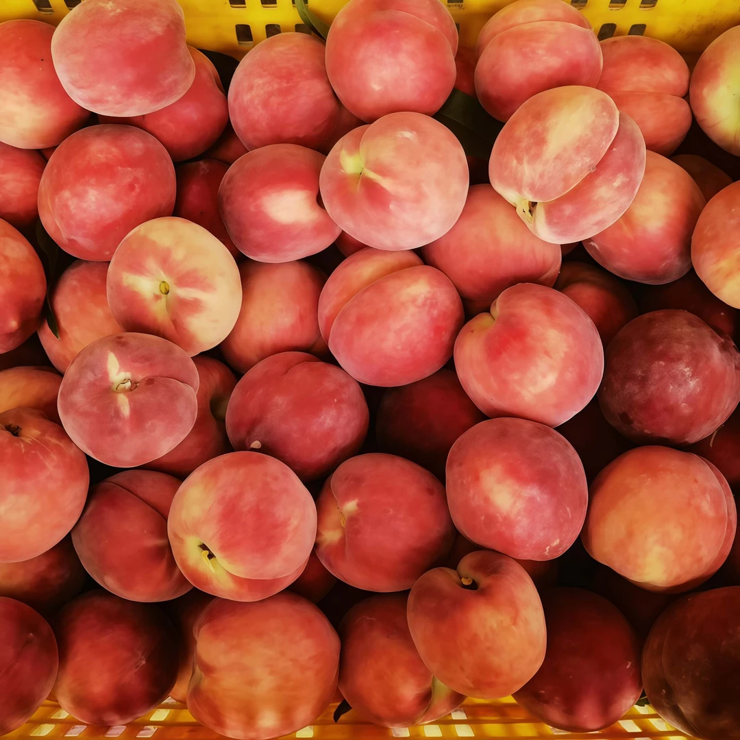 水果四川苍溪新鲜脆桃果园现摘现发鹰嘴脆桃口感脆爽清甜多汁包邮