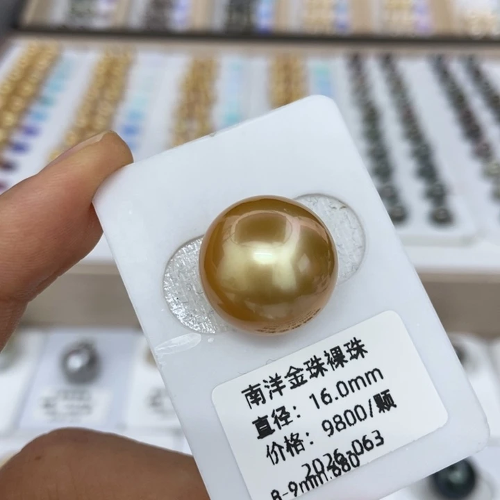 海水珍珠裸珠金珠16mm