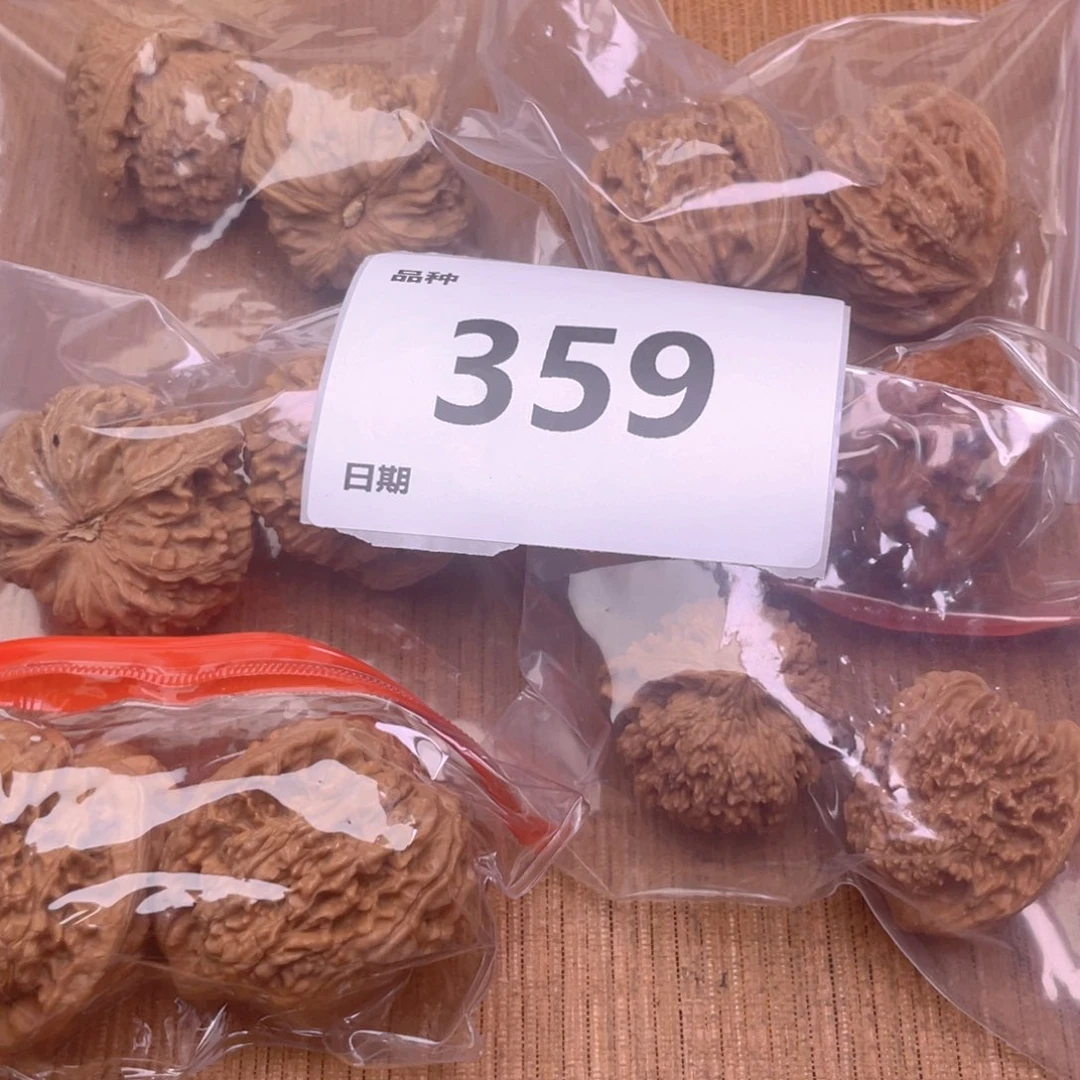 文玩核桃把件359号6对