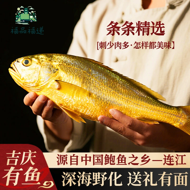 【福品福递】福建连江深海大黄鱼鲜嫩刺少鲜海鱼家常菜速冻冰鲜发货