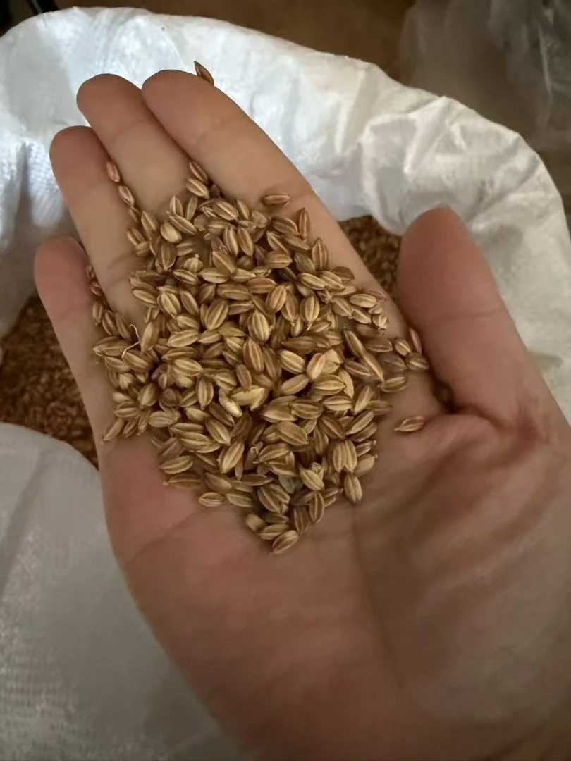 5斤/红毛稻熟米饵块粑/安龙传统美食/软糯Q弹/吃不腻/风味独特