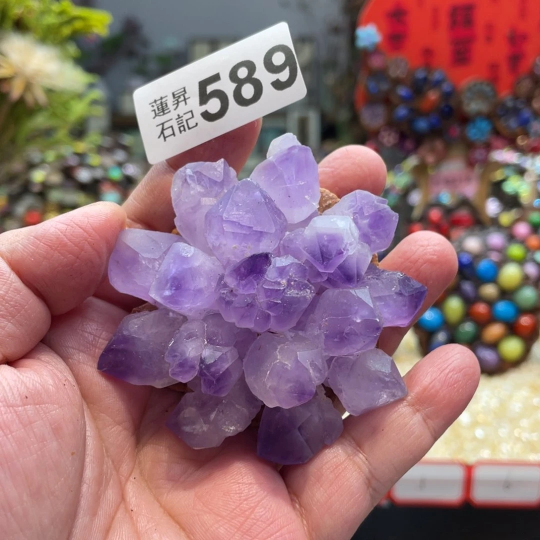 核桃木/黑胡桃（胡桃木）我***个589