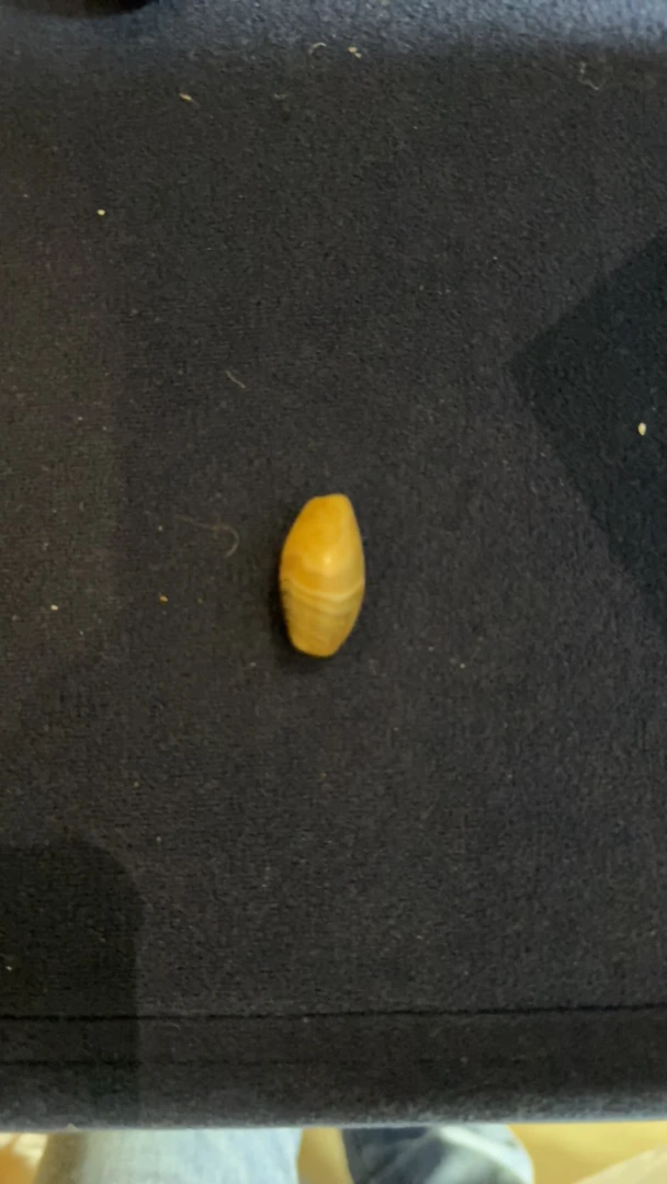 藏地密码，藏式珠子 36