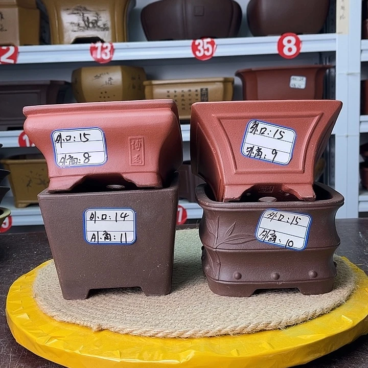 花盆紫砂你在一起