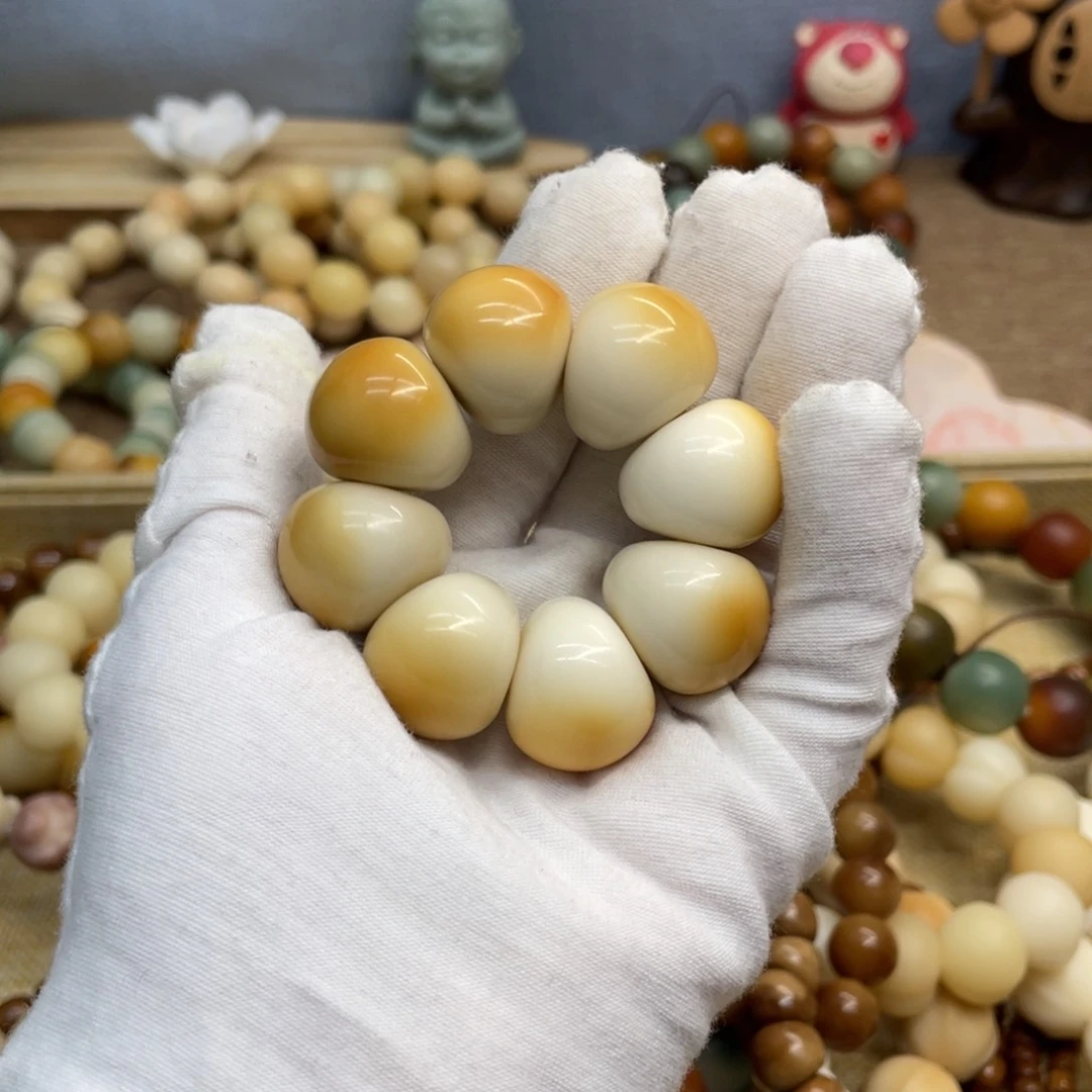 菩提根/象牙果吊坠21干磨牙果晕色山竹737