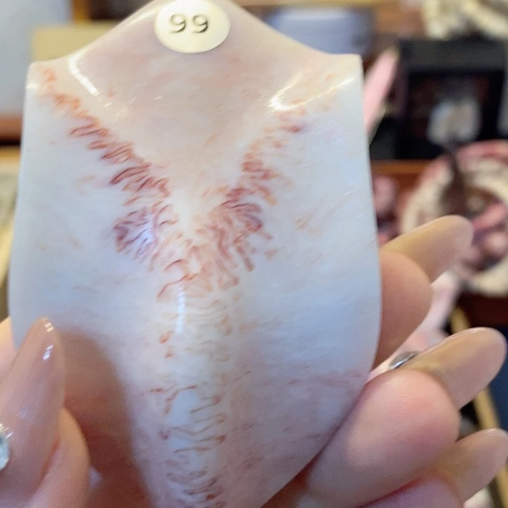 鹿骨把件肉*养殖鹿三界手把件