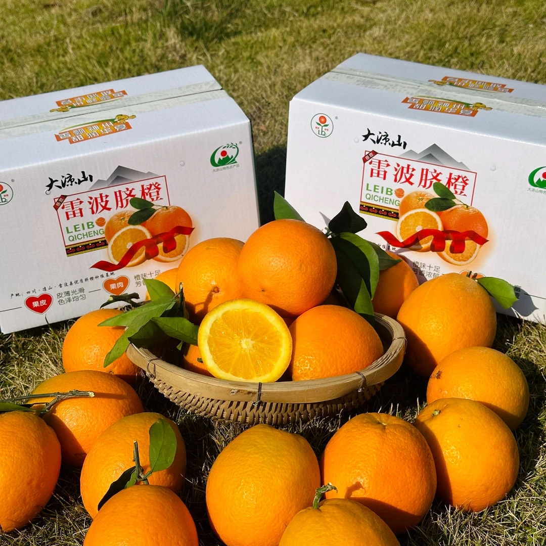 四川大凉山雷波脐橙香甜多汁新鲜水果（开播福利试吃装）