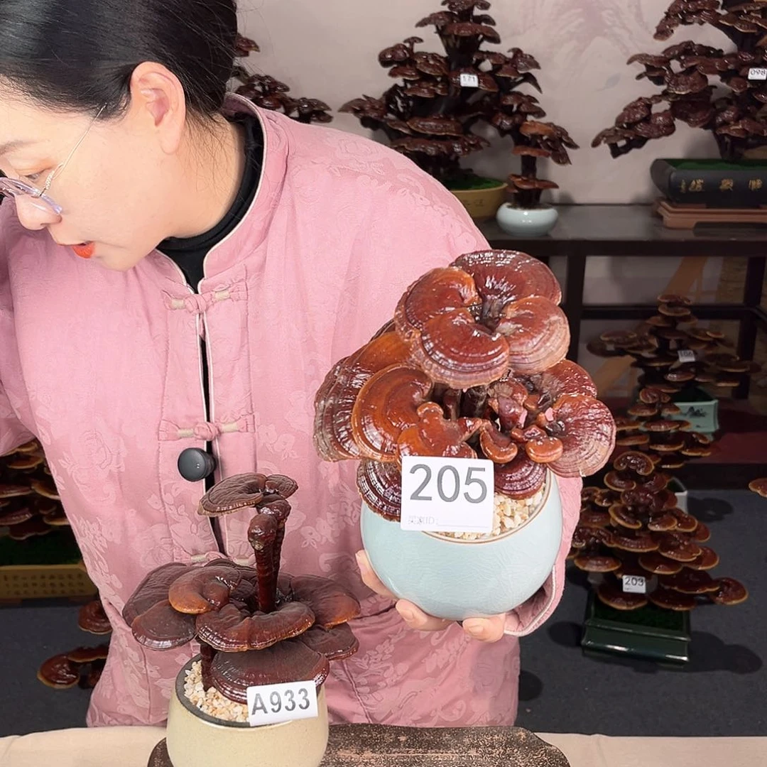 万事如意888888205