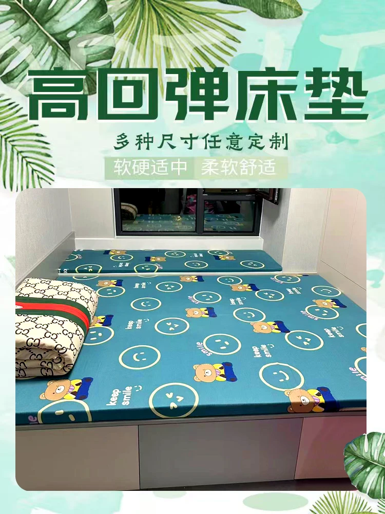 回弹棉床垫炕垫软硬适中高密度不塌陷不变形榻榻米床垫子定制